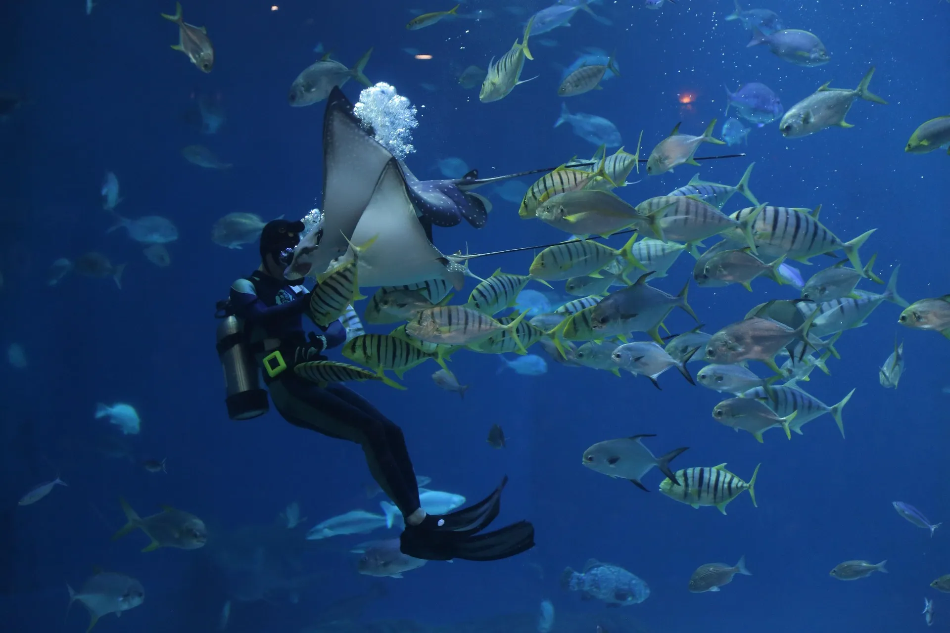 Couple Diving and Surfing on Adventure Honeymoon in Bali