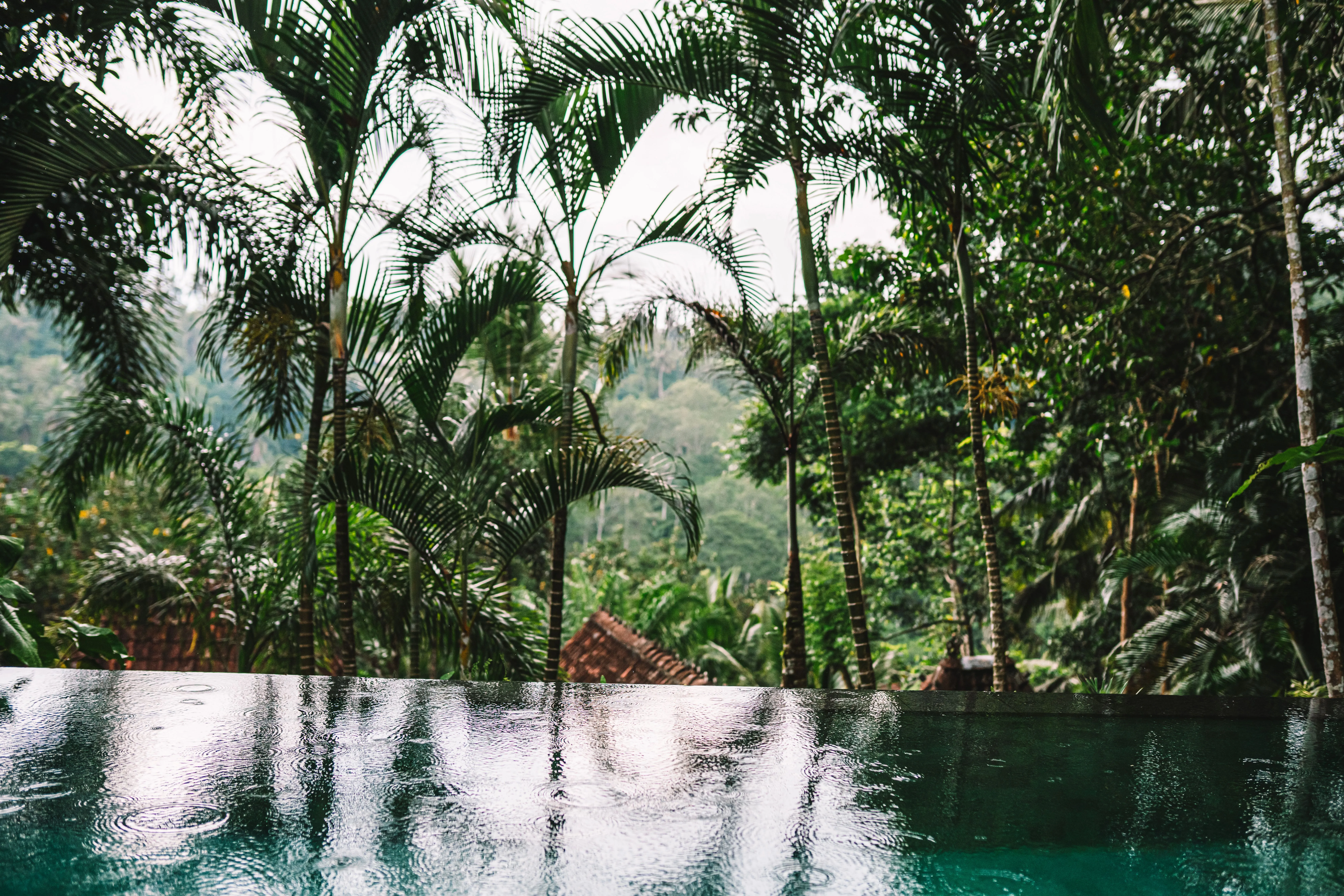 Romantic Jungle View Villa in Ubud Bali with Outdoor Bathtub